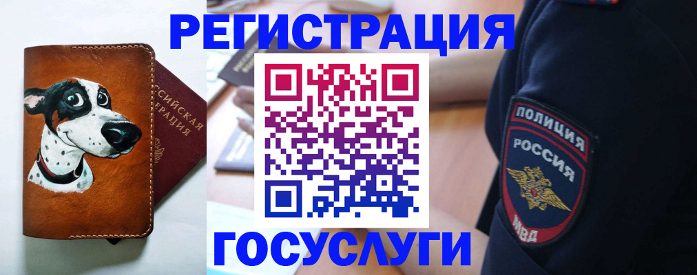 временная регистрация в квартире в Пионерском